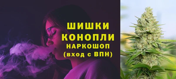 PSILOCYBIN Алапаевск