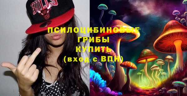 гидра Белоозёрский