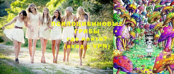 Альфа ПВП Беломорск