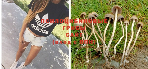 PSILOCYBIN Алапаевск
